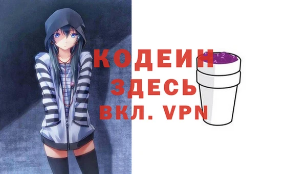 хмурый Новозыбков