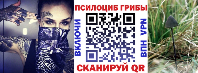 Псилоцибиновые грибы мицелий  Купить закладки  Судогда 
